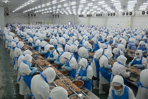 杭州铸淘网络科技有限公司，网店代运营“你带上小龙虾，我借给你钱”：网红店成为销售***的秘密【一】