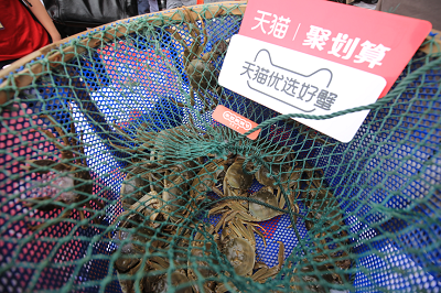 杭州天猫代运营｜天猫“抢鲜”阳澄湖大闸蟹第一捞，今年中秋C位就是它！