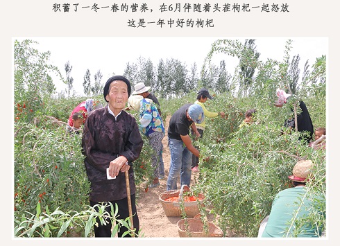 杭州铸淘网络科技有限公司|10万主播卖农货，最年长108岁，阿里一年助销49亿件农产品【一】