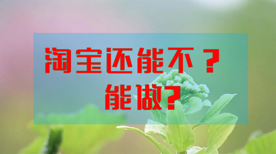 淘宝还能不能做？？？