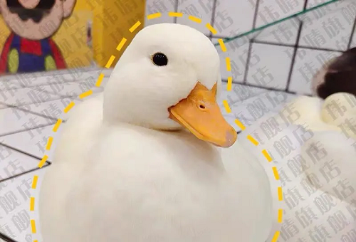 1593785118935.png