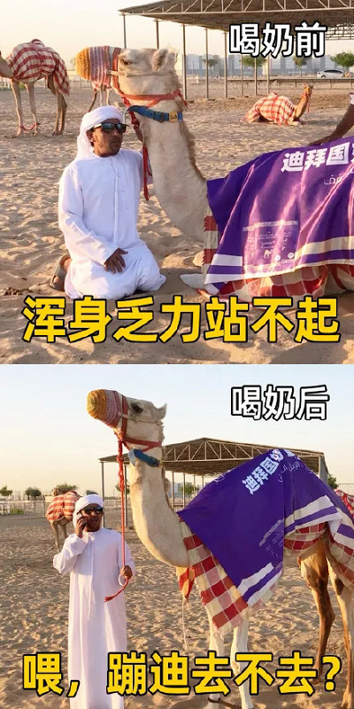 caf84504e5794ef69c271ae27490a54a.png