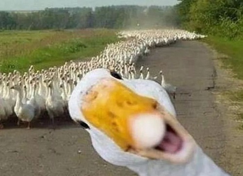 1593785118635.jpeg