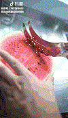 1537279148293.gif