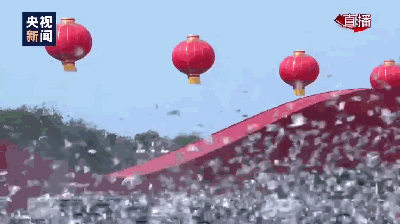 050dfd8f011d43a4957bb85670912322.gif