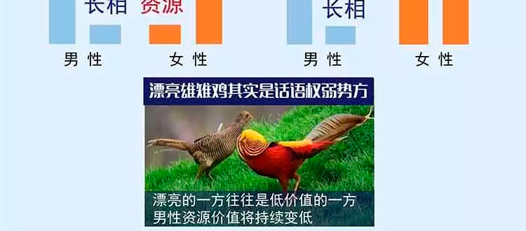 1501309715186_16.png