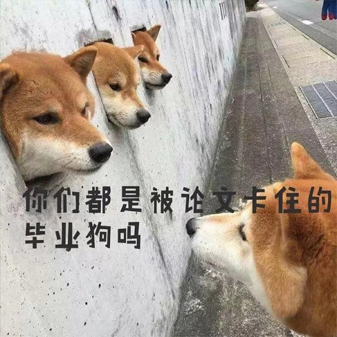 606ab77973b343c0b0d210c518e4c67b.jpg