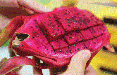 a72bc2a0fd53442b98f2f296dca27c16.gif
