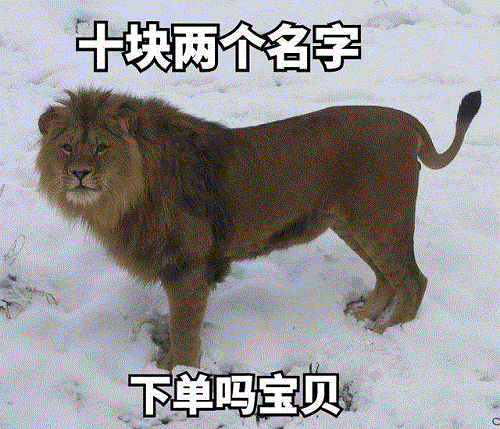 850d8667f4b241558a500fe3214690cd.gif