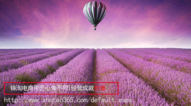 262.jpg